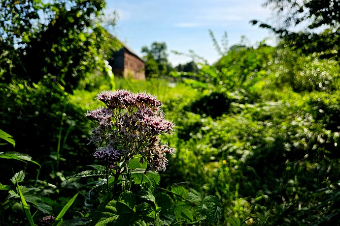 Młyn w Chobielinie Wycieczka rowerowa Nakło - Chobielin - Brzózki