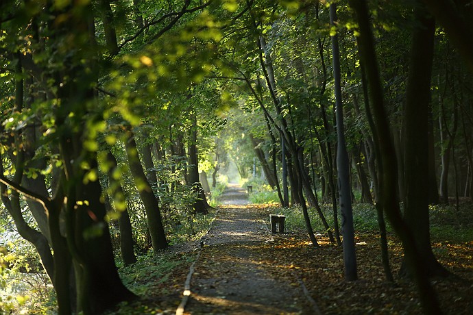 Park nad Kanałem Bydgoskim Żaden promień słońca nie ginie, lecz zieleń, którą on budzi, potrzebuje czasu, aby wzrosnąć. [Albert Schweitzer] Kanał Bydgoski