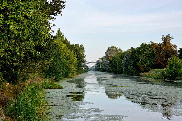 Kanał Bydgoski widok z pomostu za stadinem KS Gwiazda w kierunku zachodnim - Bydgoszcz osiedle Miedzyń sierpień 2024 r.