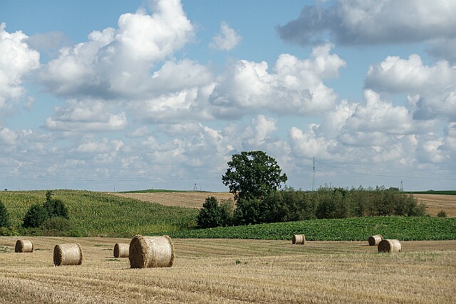 Po żniwach Skarbiewo