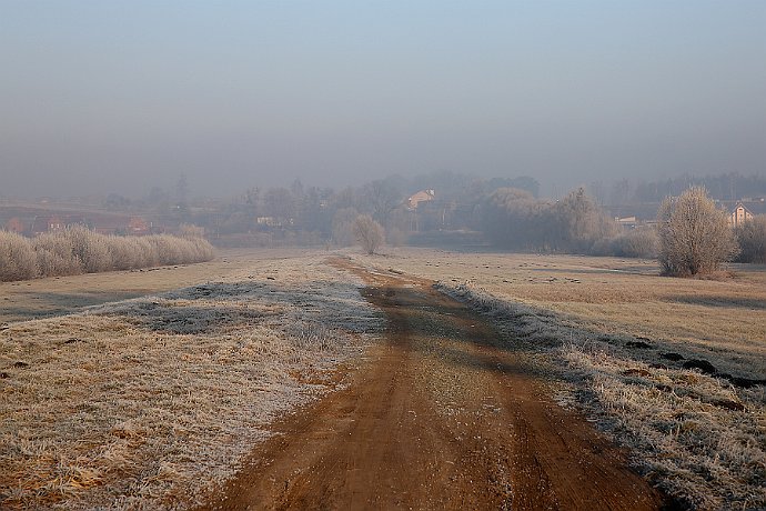 Zimowy pejzaż  droga do wsi Kruszyn : droga, zima, ranek, wieś, krajobraz