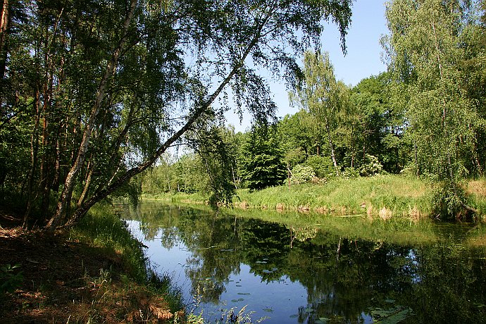 Kanał Notecki  Kanał Notecki w okolicy Łochowa : kanał notecki, las, łochowo, puszcza bydgoska