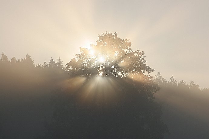jesień  "Oko Pana Boga" : mgła, słońce, światło, promienie