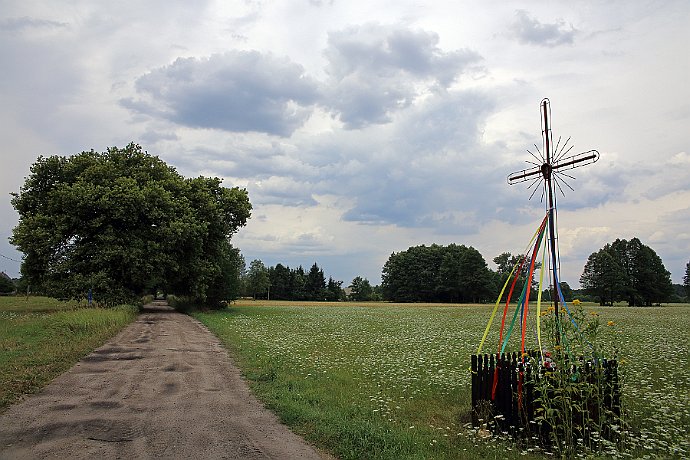 Boża męka  we wsi Osiek : droga, krzyż, pola, chmury, drzewa