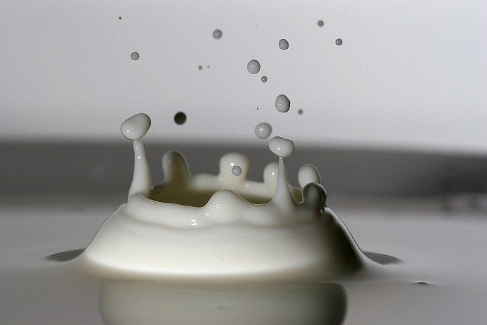 mleko  makrofotografia UHT 3.2 : mleko, makrofotografia, kropla, janusz michalski