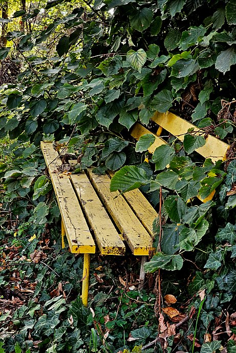 Na ławeczce w zielonym ogrodzie... okolice szóstej śluzy Kanału Bydgoskiego