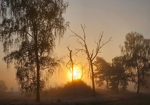 Wycieczka rowerowa nad Kanał Notecki przez Chobielin nad Kanał Bydgoski i do ulubionego lasu 🚴 Trasa 85 km: Bydgoszcz - Zamość -Tur - Chobielin - Występ - Gorzeń - Białe Błota las - Bydgoszcz