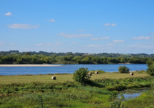 Wycieczka rowerowa przez Ostromecko do punktu widokowego nad Wisłą w Borównie 🚴 Trasa 93 km: Bydgoszcz - Ostromecko - Czarże - Borówno wieża widokowa nad Wisłą - Unisław - Dąbrowa Chełmińska -...