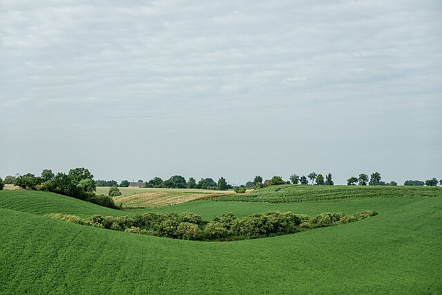 Salno