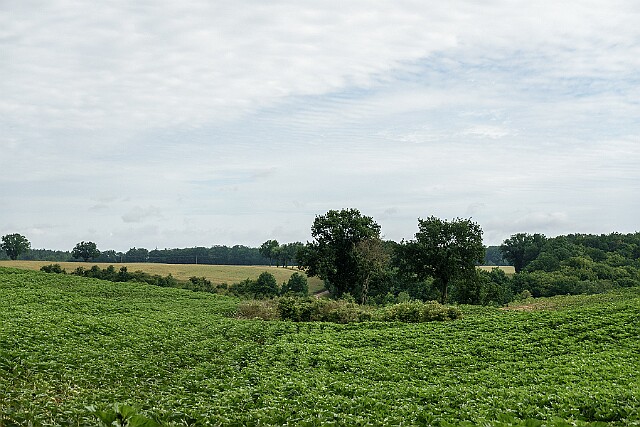 Byszewo