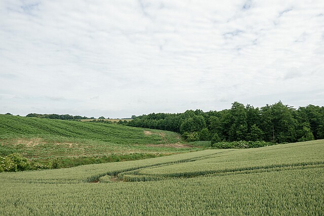 Salno