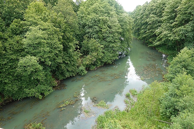 Rzeka Brda Koronowo