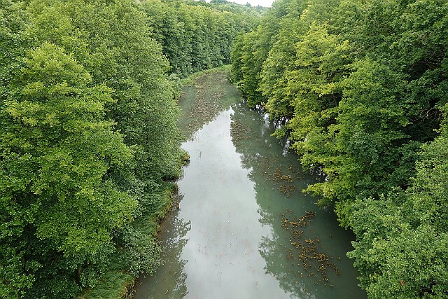 Rzeka Brda Koronowo