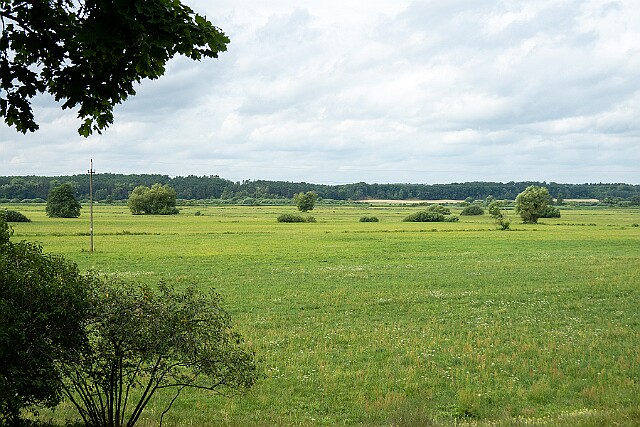 Krajobraz w Brzózkach