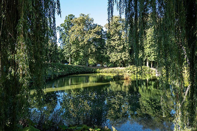 Park przy pałacu w Lubostroniu