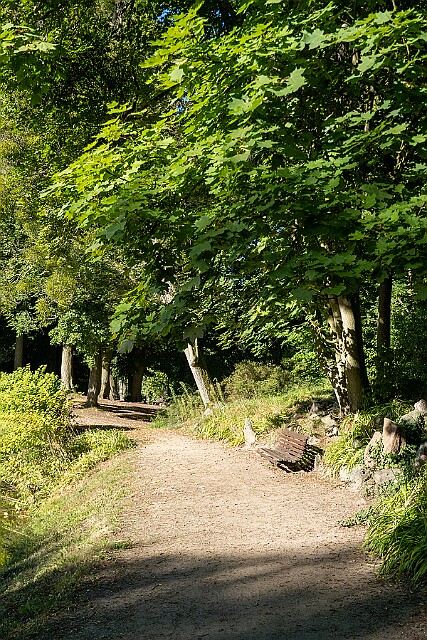 Park przy pałacu w Lubostroniu