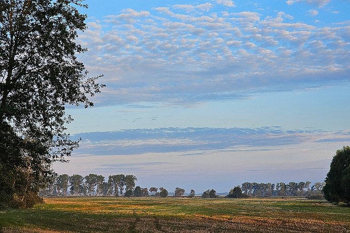 Krajobraz po żniwach - Prądki