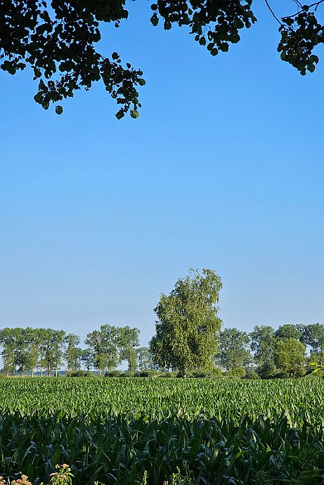 W drodze do śluzy Dębinek Północ