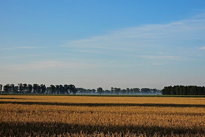 Przed żniwami Trasa Ciele - Kruszyn Krajeński