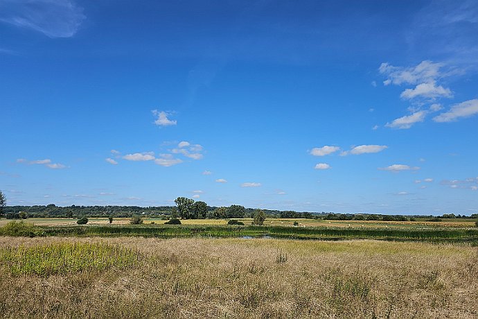 Czarże krajobraz widziany z szosy