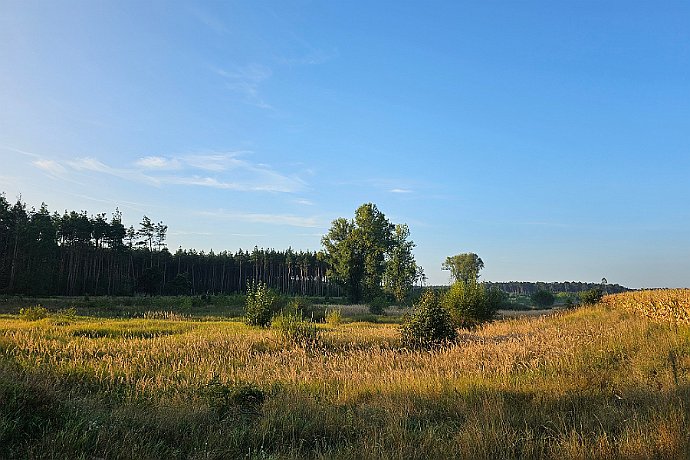 Okolice Kaźmierowa