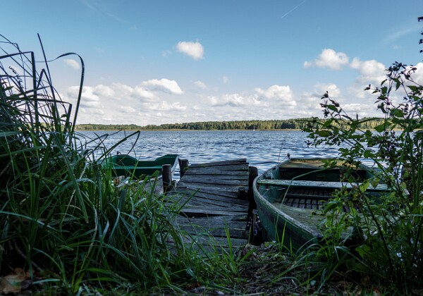 Wycieczka rowerowa do Krówki Leśnej i nad Zalew Koronowki 28.09.2025 r. 🚴 Trasa 100 km 🚴: 🏡 Bydgoszcz - Gościeradz - Koronowo - Romanowo - Tylna Góra - Sokole-Kóźnica - Krówka Leśna. Powrót:...