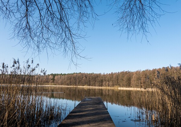 Wiosenna wycieczka rowerowa do Głęboczka, nad Noteć i Kanał Notecki 🚴 Trasa 70 km: Bydgoszcz - Łochowo - Głęboczek - Tur - Zamość - Rynarzewo - Władysławowo - Dębinek - Ciele - Trzciniec -...